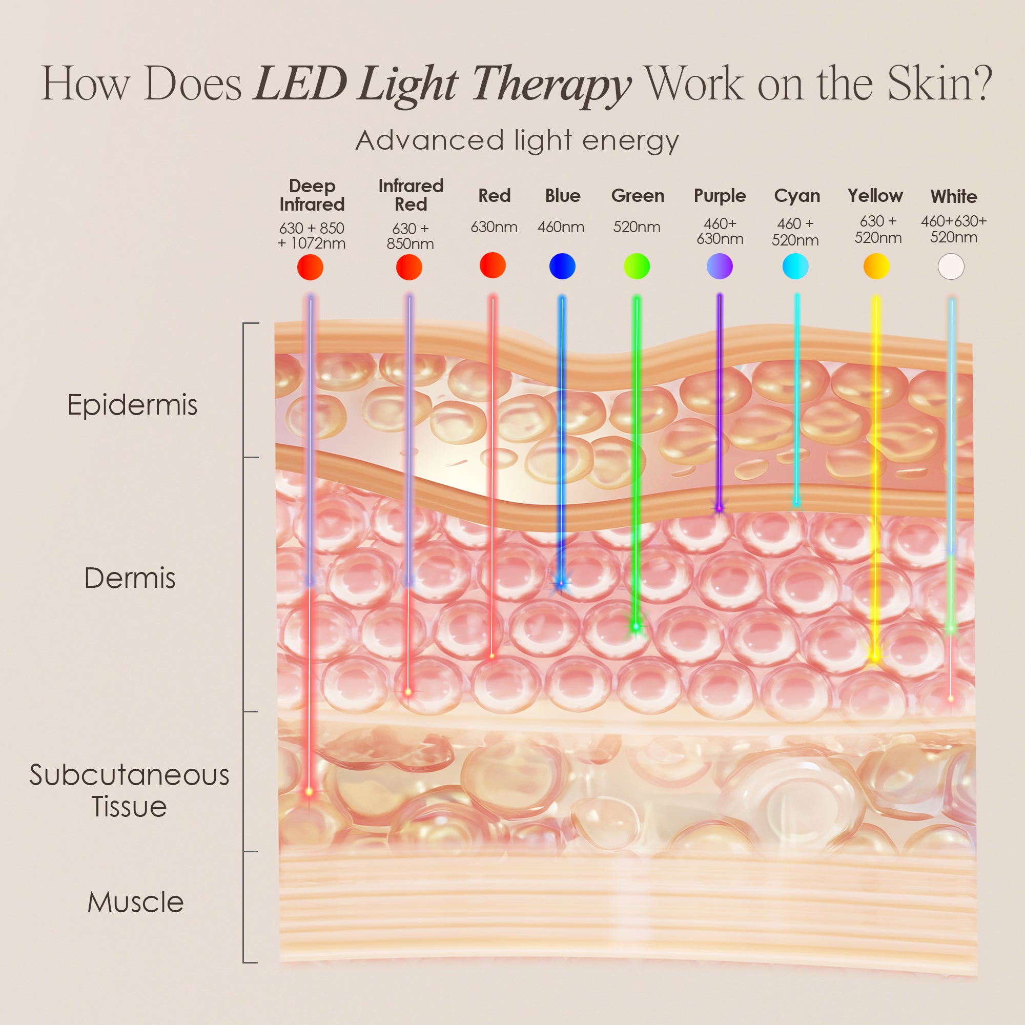 LumaLux Face+ | Pro LED Light Therapy Face & Neck Mask